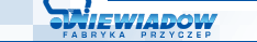 nwn-logo.gif